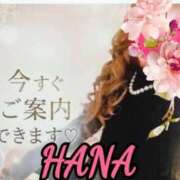 ヒメ日記 2026/07/09 15:13 投稿 はな【凛】 恵比寿コレクション　久留米本店