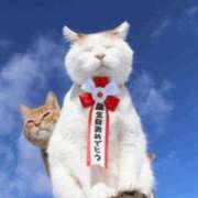 ヒメ日記 2026/07/20 14:43 投稿 まお【凛】 恵比寿コレクション　久留米本店