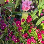 まりこ【結】 4.11金曜日のお礼です💕 恵比寿コレクション　久留米本店