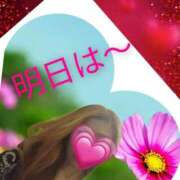 ヒメ日記 2026/04/02 13:43 投稿 みなみ【結】 恵比寿コレクション　久留米本店