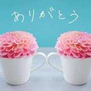 ヒメ日記 2026/04/13 17:11 投稿 ゆうこ【凛】 恵比寿コレクション　久留米本店