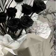 ヒメ日記 2026/04/01 23:27 投稿 むめい スピードエコ難波店