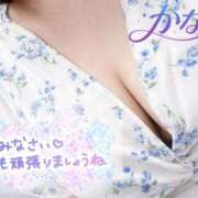 ヒメ日記 2026/04/03 00:56 投稿 かなえ 小岩人妻花壇