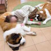 ヒメ日記 2026/04/28 11:19 投稿 こころ ラブストーリー（すすきの）