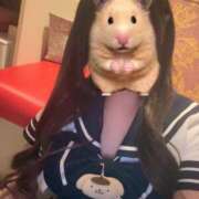 ヒメ日記 2026/04/29 17:03 投稿 ふうか ラブストーリー（すすきの）