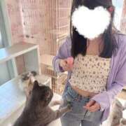 ヒメ日記 2026/05/08 18:43 投稿 りょう 五反田痴女性感フェチ倶楽部