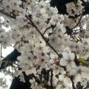 ヒメ日記 2026/04/01 11:55 投稿 あつみ 熟女の風俗最終章 西川口店