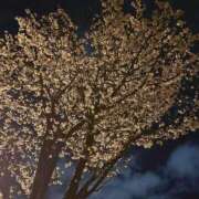 ヒメ日記 2026/04/17 09:16 投稿 知佳（ちか） エスペランサ新館