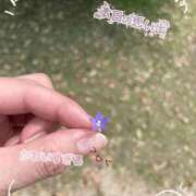 ヒメ日記 2026/06/11 09:26 投稿 白咲さくらこ LIP×LIP滋賀