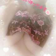ヒメ日記 2026/08/15 15:46 投稿 白咲さくらこ LIP×LIP滋賀