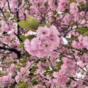 美影(みかげ) ありがとうございました かりんとplus　上野御徒町