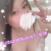 ヒメ日記 2026/04/06 02:08 投稿 むつき 丸妻 新横浜店