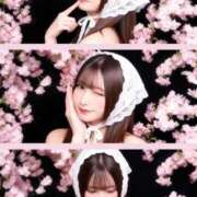 ヒメ日記 2026/04/18 15:44 投稿 すず 濡れるエステ