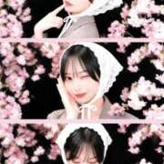 ヒメ日記 2026/04/13 14:04 投稿 まい 濡れるエステ