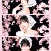 ヒメ日記 2026/04/02 11:00 投稿 ももか 濡れるエステ