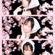 ヒメ日記 2026/04/04 11:04 投稿 りり 濡れるエステ