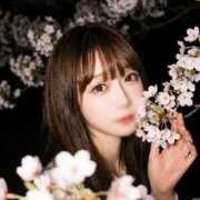 ヒメ日記 2026/04/19 14:54 投稿 りり 濡れるエステ