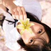 ヒメ日記 2026/04/01 22:24 投稿 れい 濡れるエステ