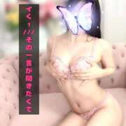 ヒメ日記 2026/04/13 21:11 投稿 とよは☆整い美形こりゃ堪らん！ じゃむじゃむ