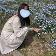 ヒメ日記 2026/04/15 11:12 投稿 すず セグレターリオ