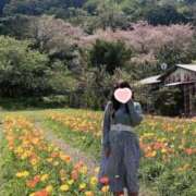 ヒメ日記 2026/08/13 19:05 投稿 ももか［神奈川］ 奥鉄オクテツ東京店（デリヘル市場）