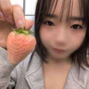 ヒメ日記 2026/04/04 17:49 投稿 ゆうり 茨城日立ちゃんこ