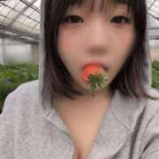 ヒメ日記 2026/04/04 17:59 投稿 ゆうり 茨城日立ちゃんこ