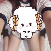 しなの 合言葉 船橋ときめき女学園