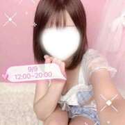 ヒメ日記 2026/09/09 08:20 投稿 ふわり コンカフェ×オナクラ @LOVE日本橋店