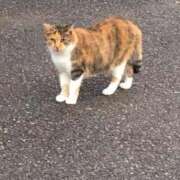 らな 風邪治らなかっちでず メンヘラ専門デリヘル ゼロワン 横浜本店