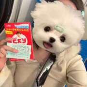 ヒメ日記 2026/04/07 16:15 投稿 ひなの♡極上SPコース♡ PANTHER（パンサー）