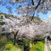 ゆかり よろしくお願いします♡ 完熟ばなな神戸・三宮店
