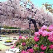ヒメ日記 2026/04/27 15:01 投稿 ゆかり 完熟ばなな神戸・三宮店