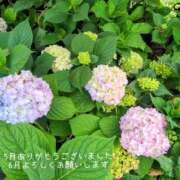 ヒメ日記 2026/06/01 15:00 投稿 ゆかり 完熟ばなな神戸・三宮店