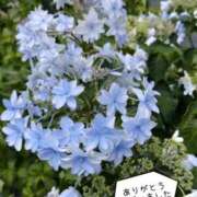 ヒメ日記 2026/06/16 12:32 投稿 ゆかり 完熟ばなな神戸・三宮店