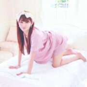 ヒメ日記 2026/04/12 07:21 投稿 ことは Versailles