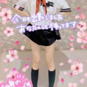 ヒメ日記 2026/05/20 09:02 投稿 まゆみ 浜松人妻なでしこ(カサブランカグループ)