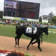 ヒメ日記 2026/04/12 14:09 投稿 谷口 鶯谷デッドボール