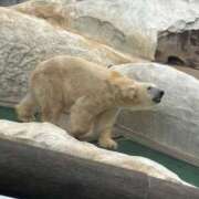 ヒメ日記 2026/04/29 11:09 投稿 谷口 鶯谷デッドボール