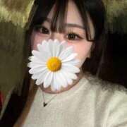 ヒメ日記 2026/04/05 16:47 投稿 ここあ スピード日本橋店