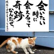 ヒメ日記 2026/07/26 07:16 投稿 岩崎千鶴 VIOLET(ヴァイオレット)
