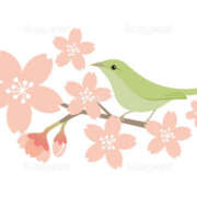 ヒメ日記 2026/04/03 14:23 投稿 とも美 VIOLET(ヴァイオレット)