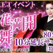 ヒメ日記 2026/04/05 08:19 投稿 とも美 VIOLET(ヴァイオレット)