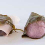 ヒメ日記 2026/04/05 13:11 投稿 とも美 VIOLET(ヴァイオレット)