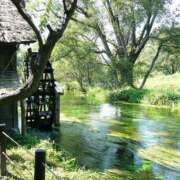 ヒメ日記 2026/04/07 00:37 投稿 とも美 VIOLET(ヴァイオレット)