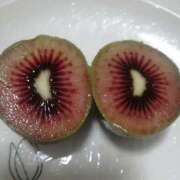 ヒメ日記 2026/04/09 07:30 投稿 とも美 VIOLET(ヴァイオレット)