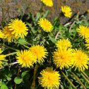 とも美 ありがとうございました VIOLET(ヴァイオレット)