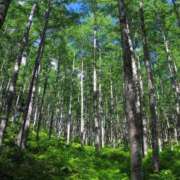 ヒメ日記 2026/04/21 07:58 投稿 とも美 VIOLET(ヴァイオレット)