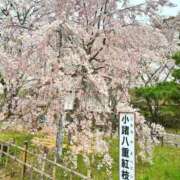 ヒメ日記 2026/04/23 07:51 投稿 とも美 VIOLET(ヴァイオレット)