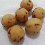 ヒメ日記 2026/04/26 11:42 投稿 とも美 VIOLET(ヴァイオレット)